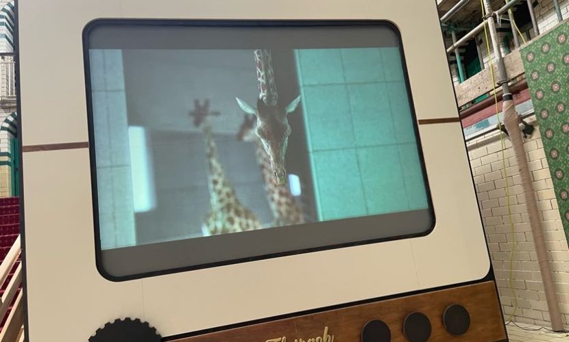 read-and-splash-moseley-road-baths