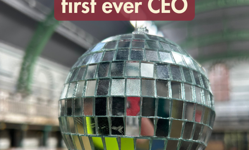 A small disco ball in the Gala Pool, overlayed with the text 'we're recruiting our first ever CEO.'